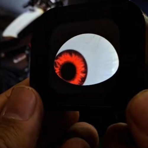 bike chain cover sticker