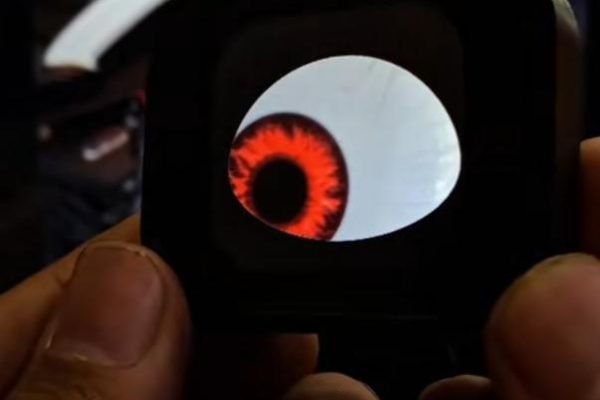 bike chain cover sticker